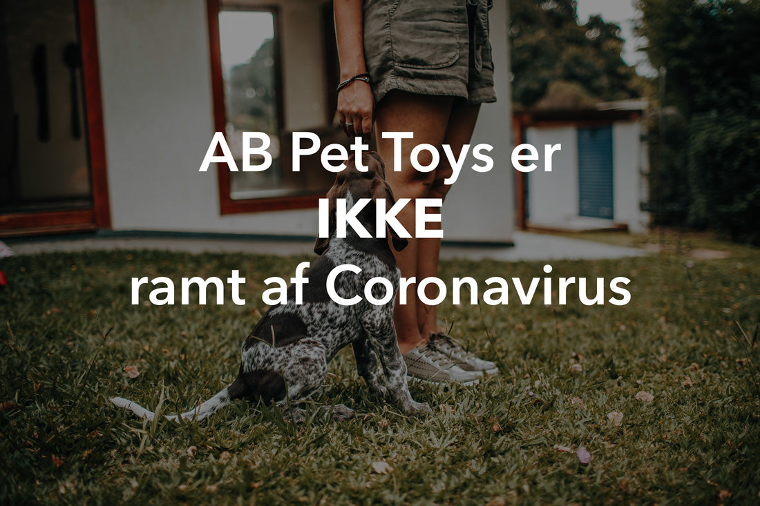 AB Pet Toys er ikke ramt af Coronavirus